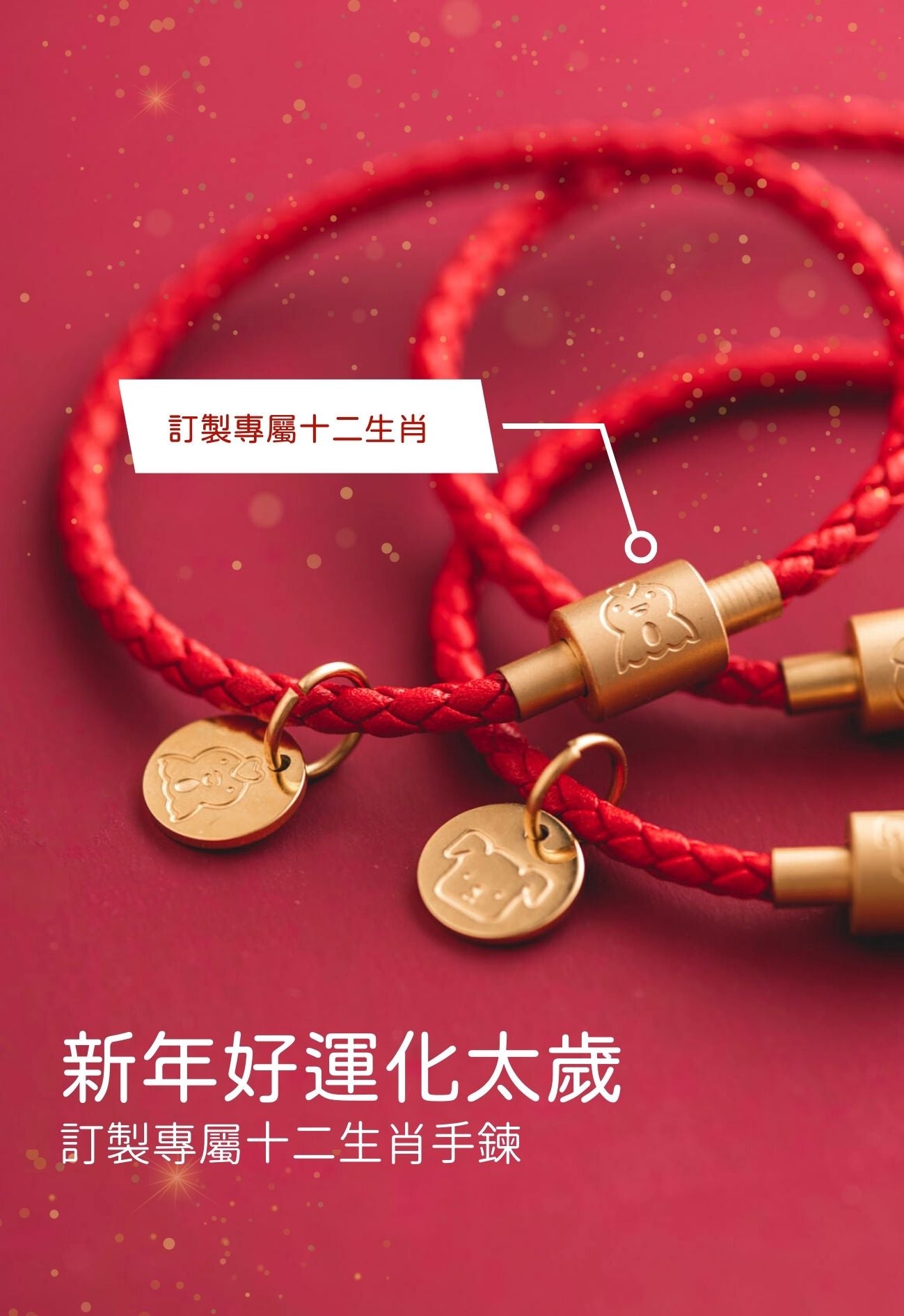 2025 化太歲十二生肖皮繩手鍊 | 本命年紅繩 | 可刻字客製化新年禮物